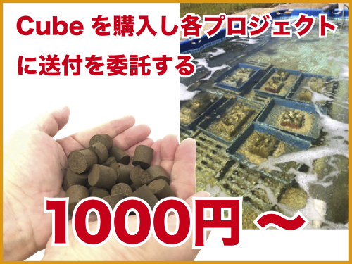 Cube-寄付-1000円の画像